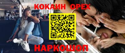 молекула духа Партизанск