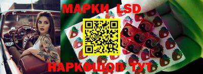 молекула духа Партизанск